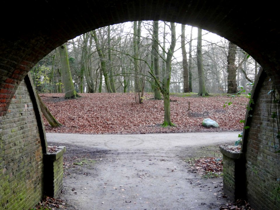 20151217_Park_Het_Engelse_Werk1_Zwolle