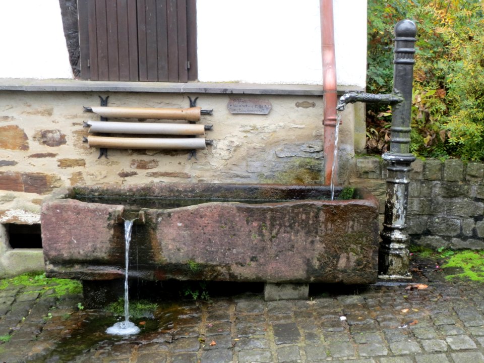 20151016Laufbrunen_Schalkenmehrern2