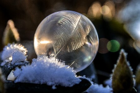 Frozen bubble winter bubble photo