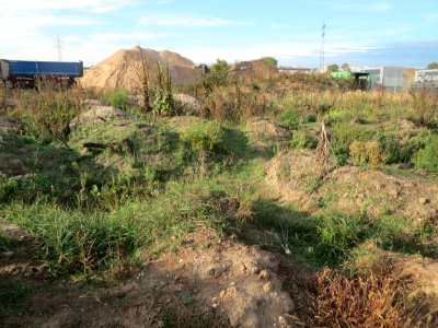 20151005Talhaus1