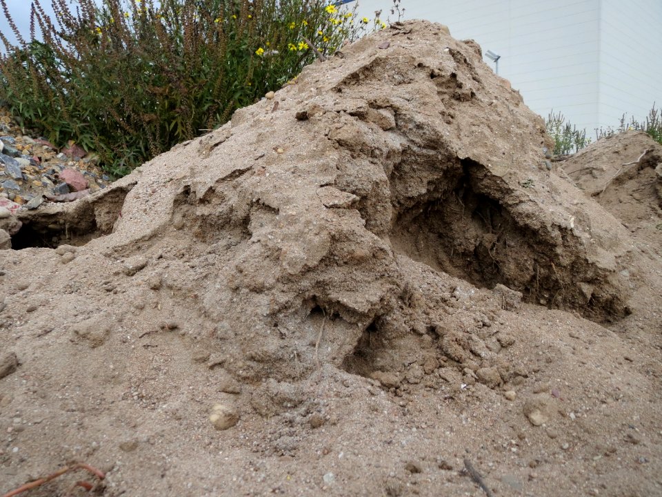 20151021Sand_Hockenheim2