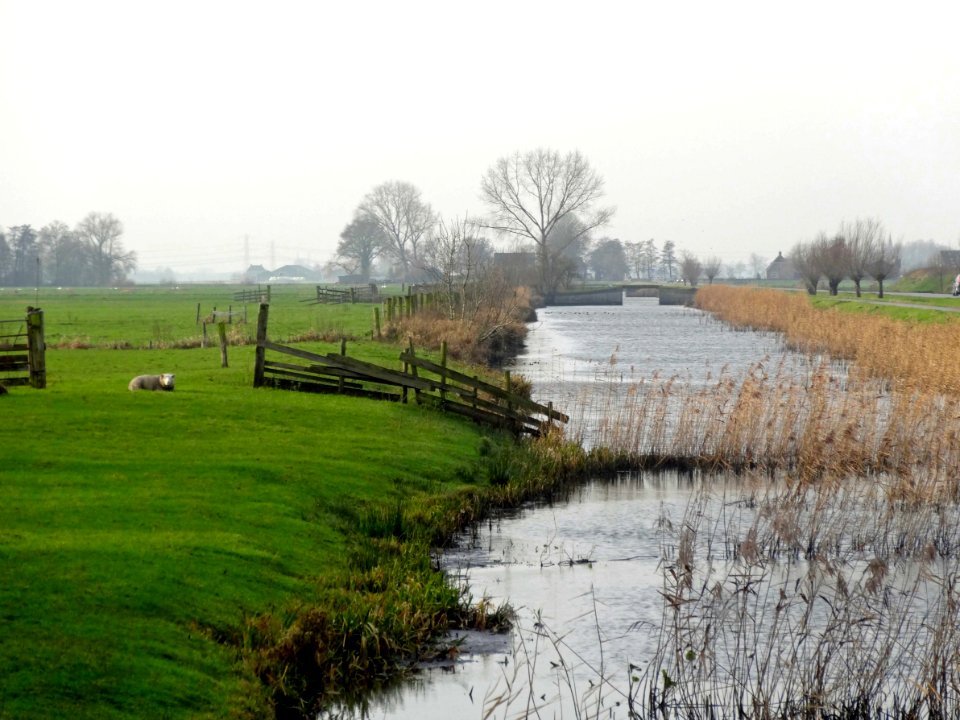 20151217_Hasseltse_wetering_polder_Mastenbroek
