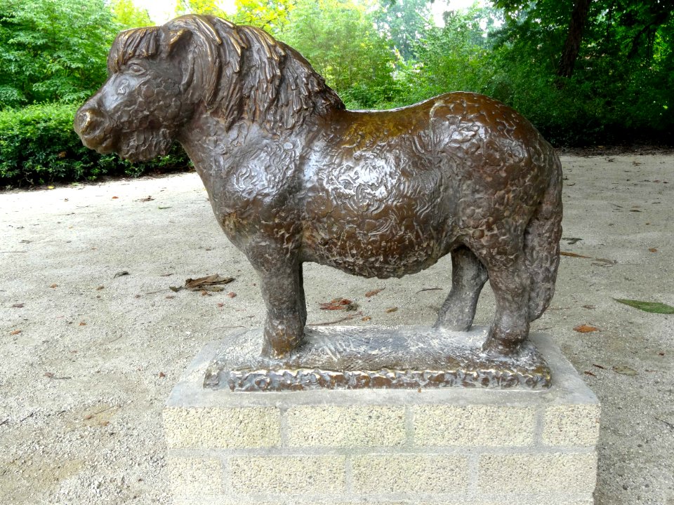 20150819_Pony_door_Arie_Teeuwisse_park_Eekhout_Zwolle