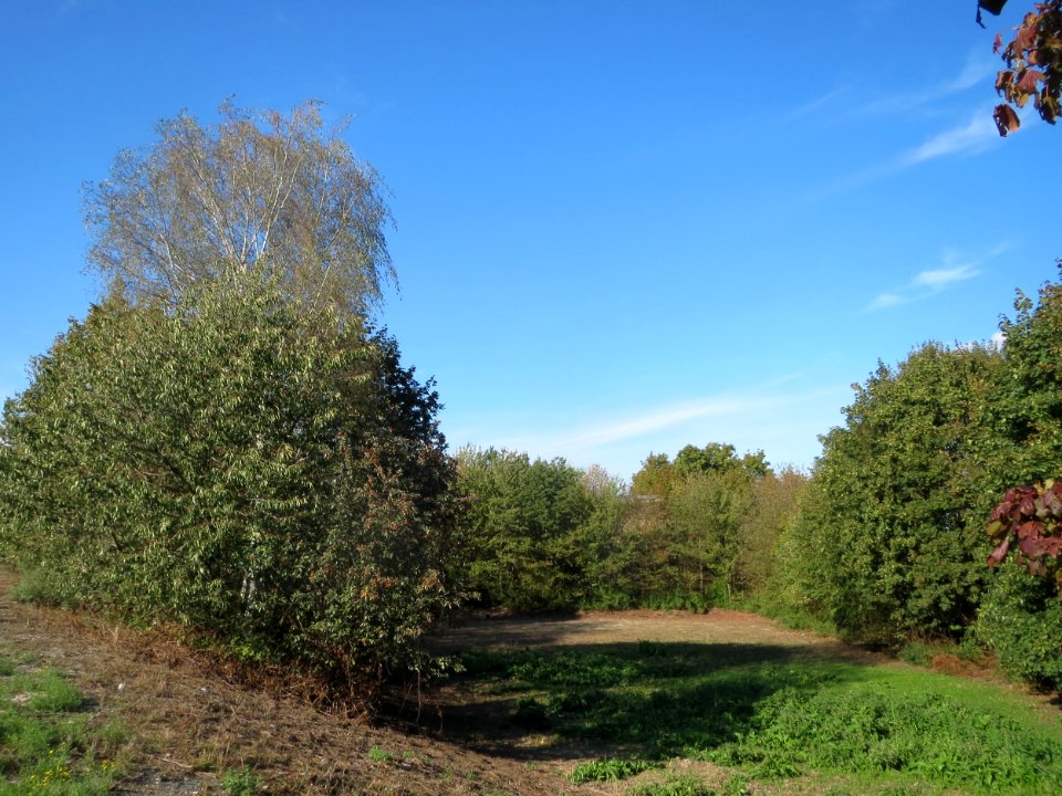 20150921Hochwasserrueckhaltebecken_Reilingen2