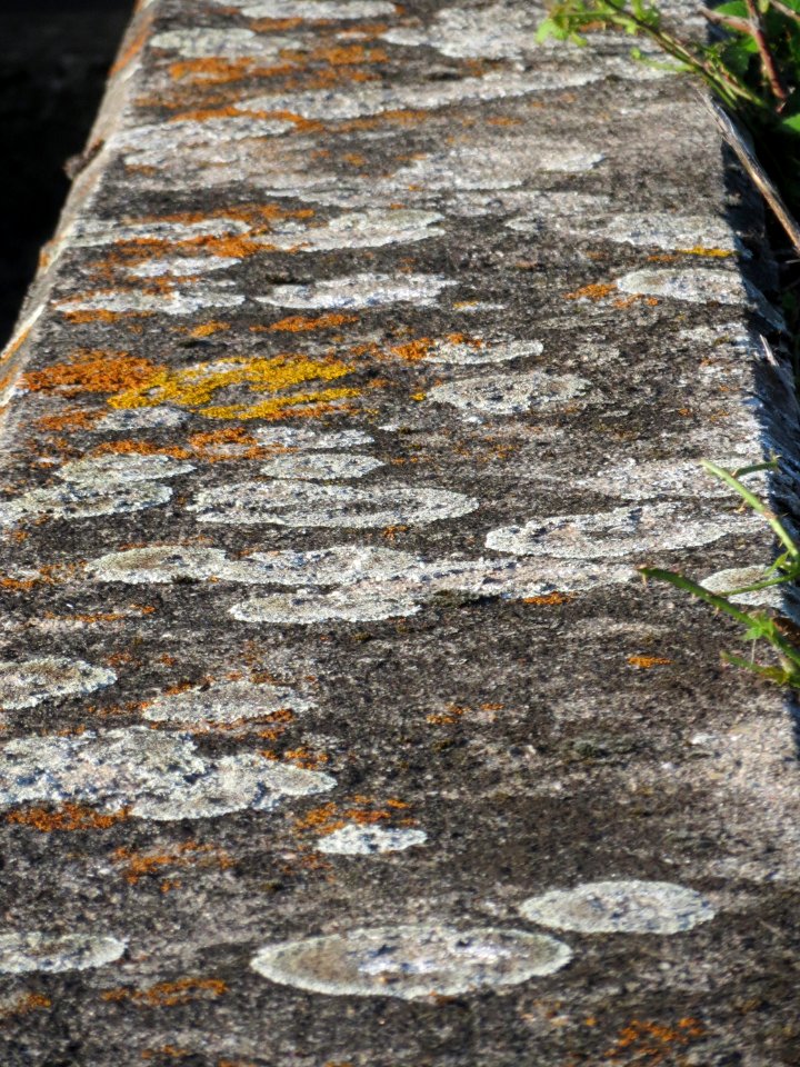 20150921Hochwasserrueckhaltebecken_Reilingen6