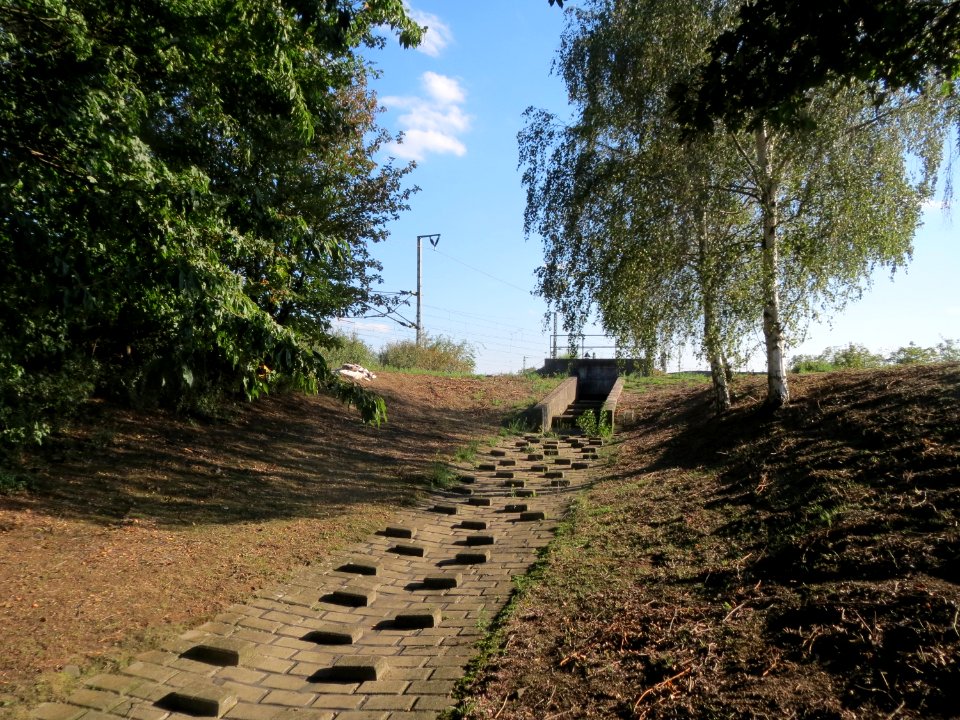 20150921Hochwasserrueckhaltebecken_Reilingen4