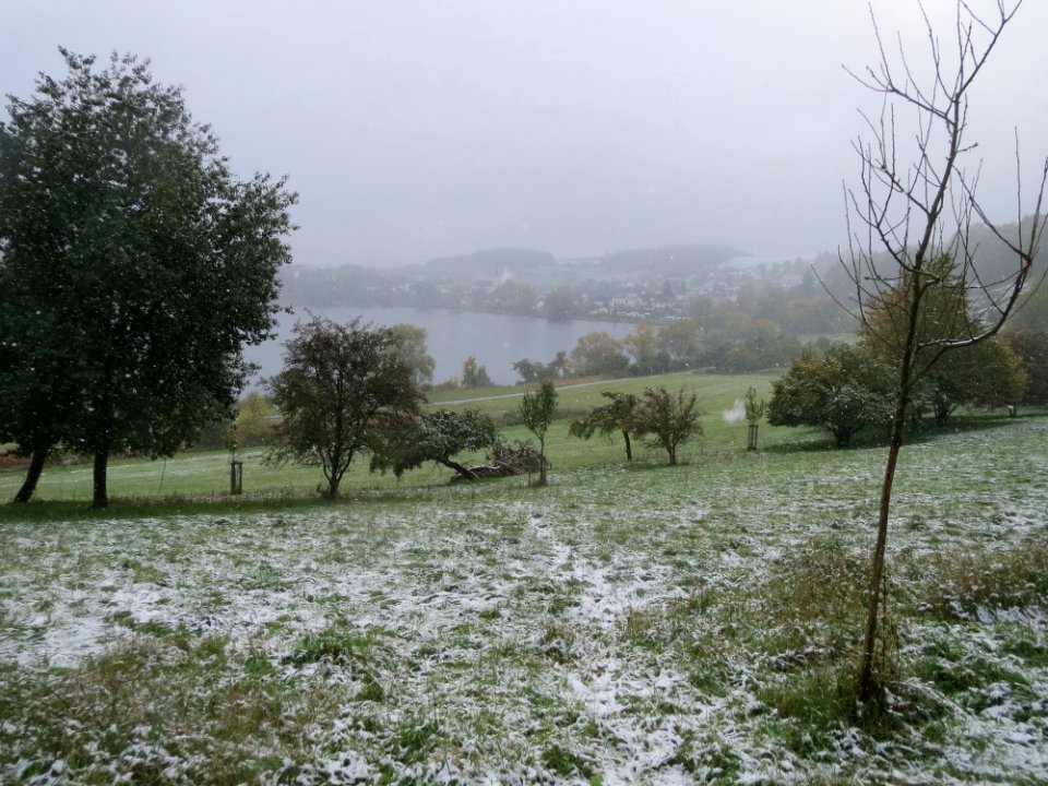 20151014Schalkenmehrener_Maar07