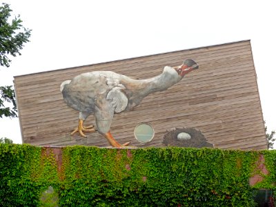 20150819_bij_Ecodrome_Zwolle