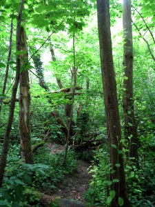 20150621Meerwald1