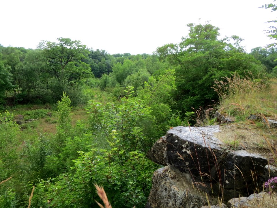 20150621Birzberg1
