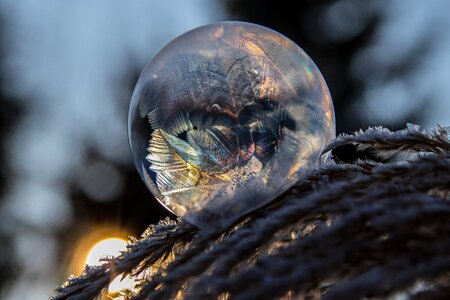 Ice frozen cold