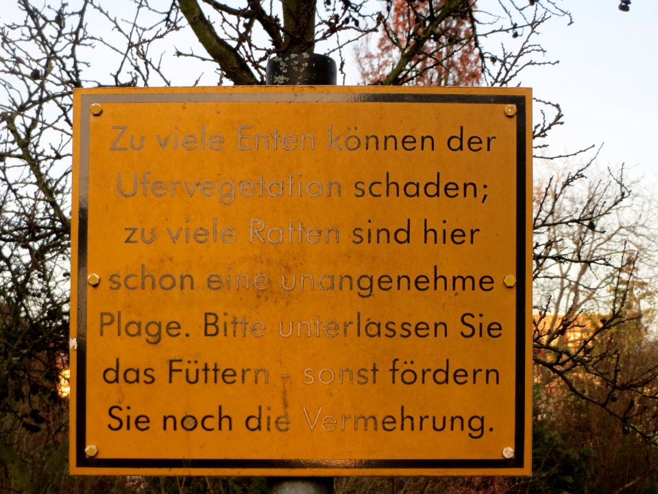 20151219Hockenheim