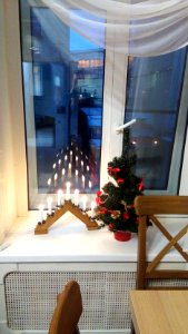 20151223_095119_Saint_Petersburg_December_2015