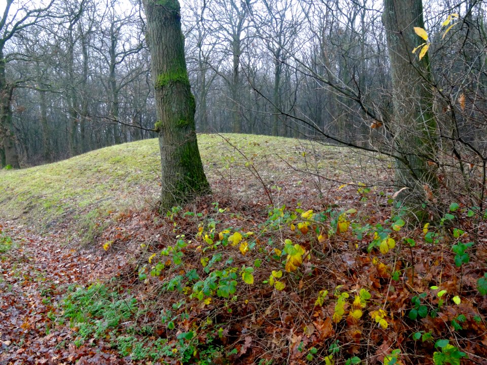 20151207_Grafheuvel_Bronneger