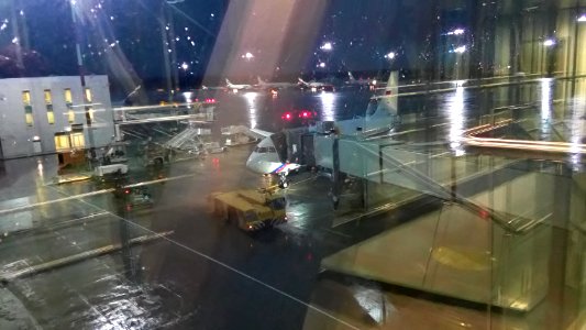 20151226_091751_Pulkovo_Airport