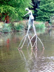 20151009_Vrouw_op_takken2_Henk_Vos_Winschoten