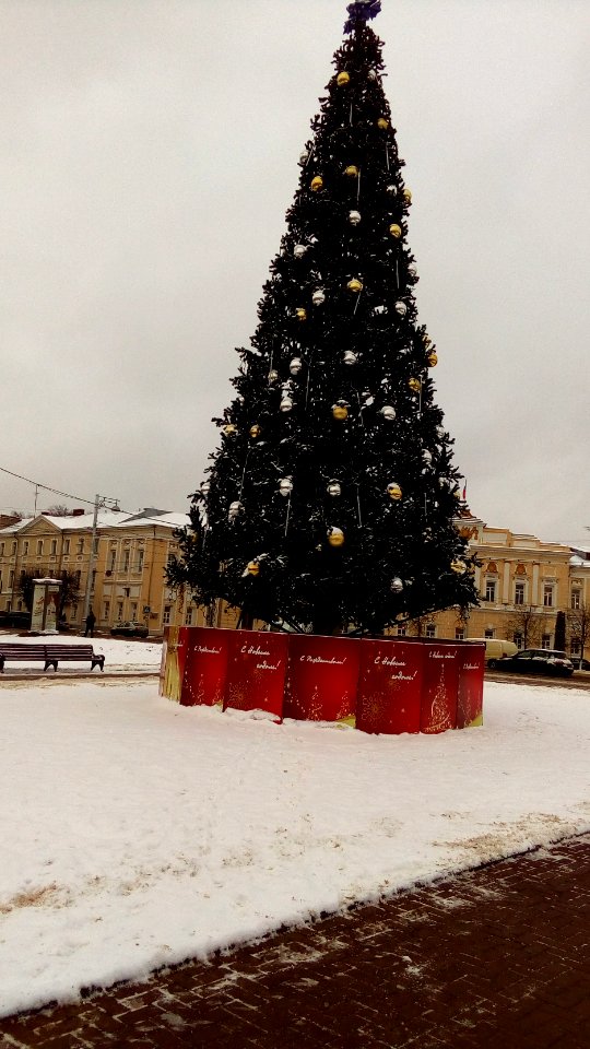 20151218_134944_18th_of_December_2015_in_Tver
