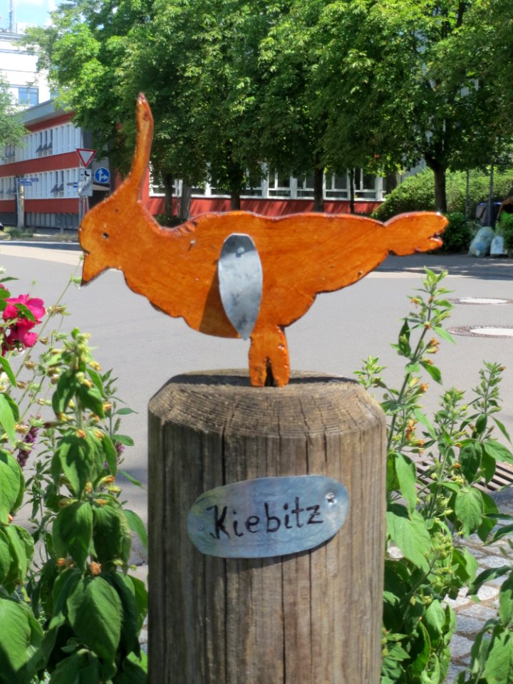 20150716Kiebitz