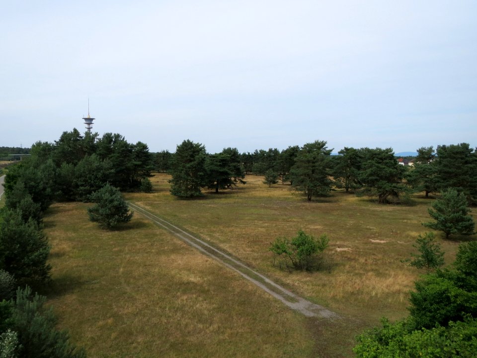 20150628Gewann_Frankreich-Wiesental3