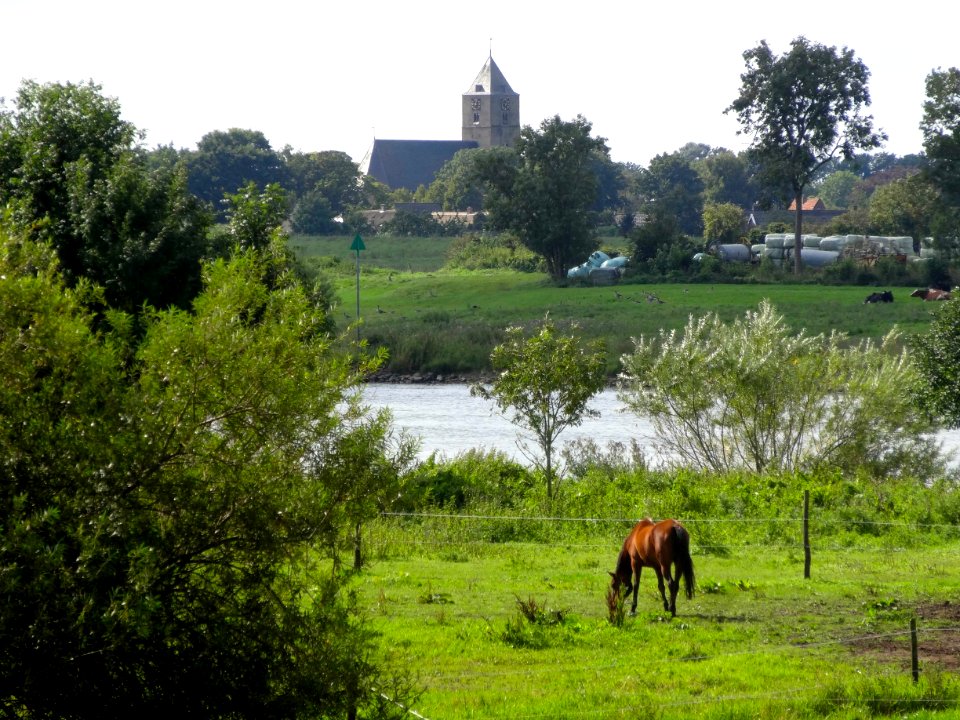 20150909_IJssel_nabij_Veecaten_zicht_op_Zalk