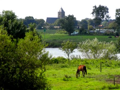 20150909_IJssel_nabij_Veecaten_zicht_op_Zalk