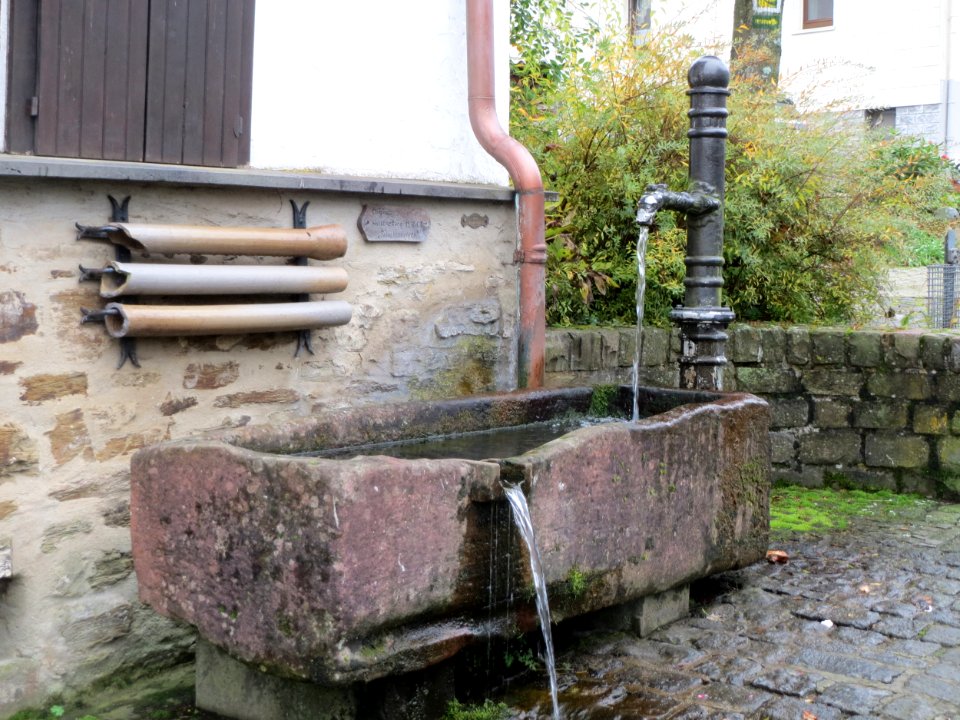 20151016Laufbrunen_Schalkenmehrern1