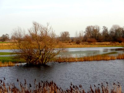 20151217_Zicht_vanaf_Hasselterdijk