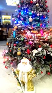 20151218_122442_December_2015_in_Tver