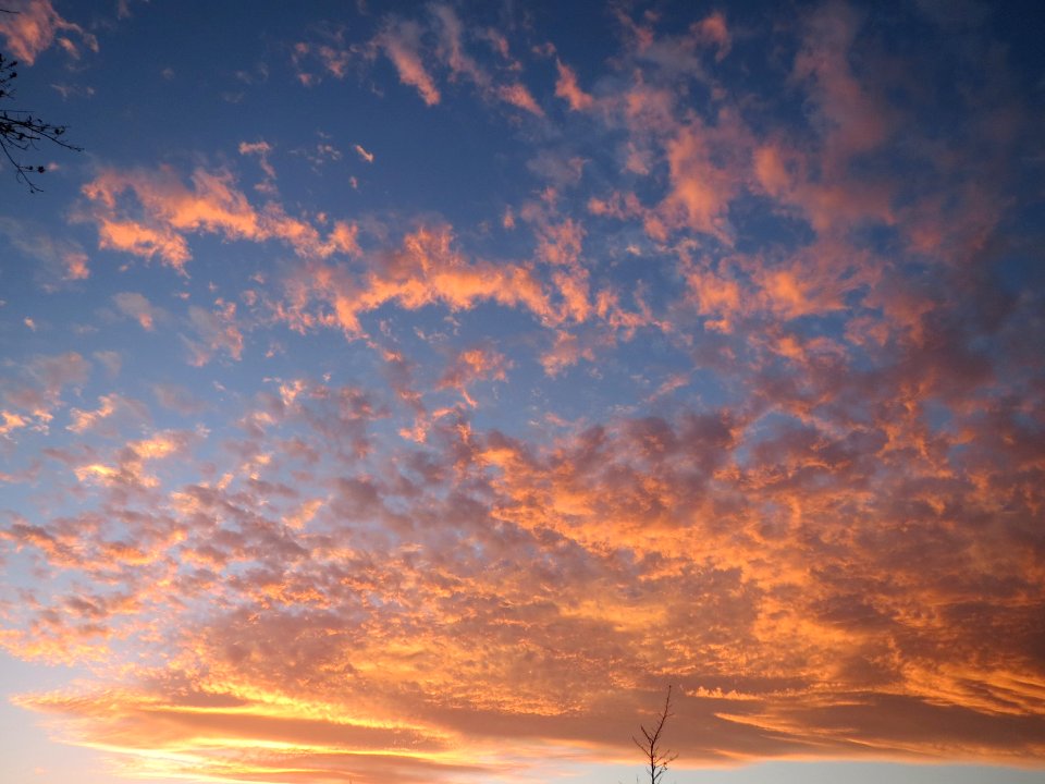 20151115Hockenheim1