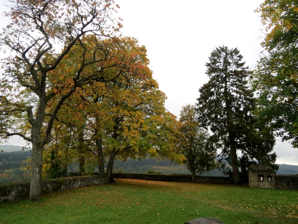 20151014Burg_Daun6