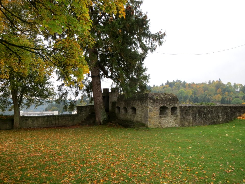 20151014Burg_Daun5