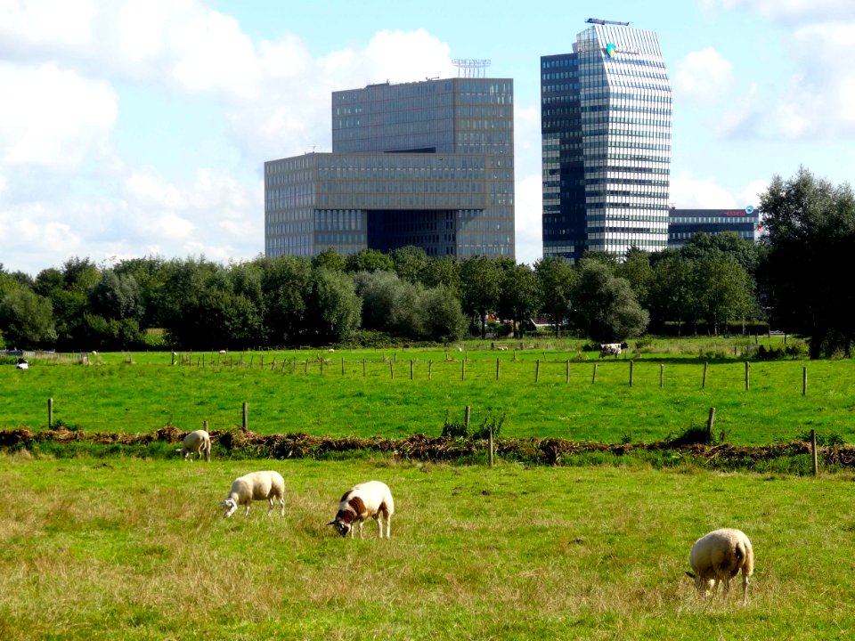 20150909_Zicht_op_Zwolle2_vanaf_Nilantsweg_Spoolde