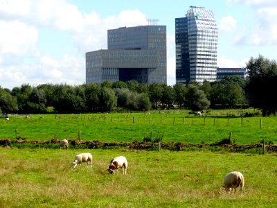 20150909_Zicht_op_Zwolle2_vanaf_Nilantsweg_Spoolde