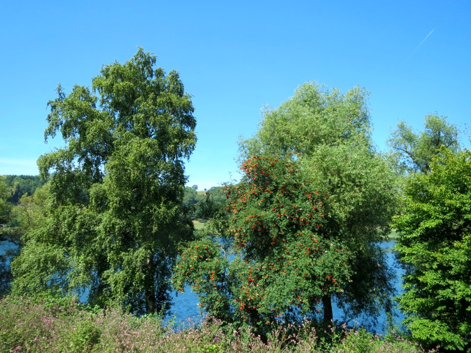 20150811Schalkenmehrener_Maar02
