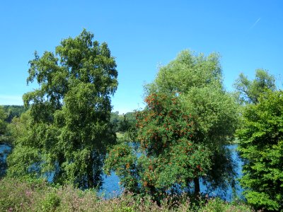 20150811Schalkenmehrener_Maar02