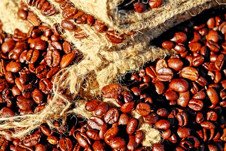 Roasting aroma brown