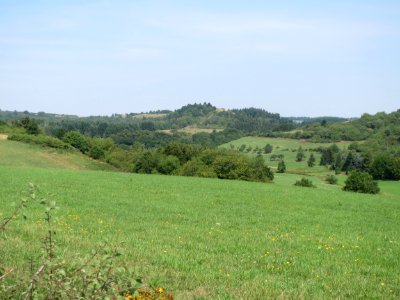 20150813Schalkenmehren1