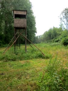 20150627Geißböckelgraben1