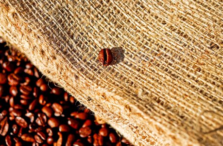 Roasting aroma caffeine
