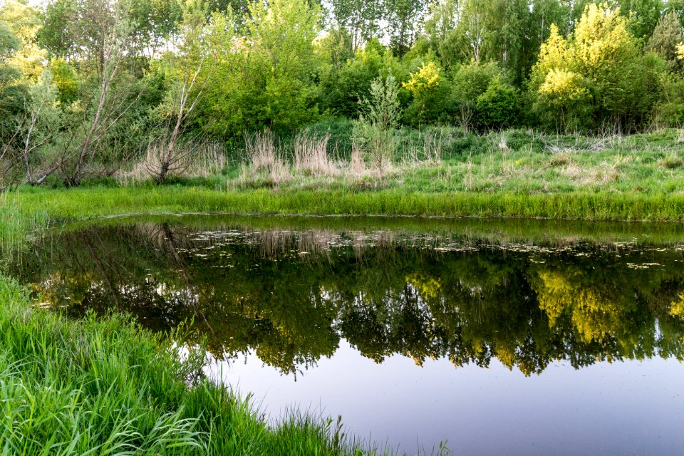20150510_Hönower_Weiherkette_-_Untersee_by_sebaso_IMG_4092