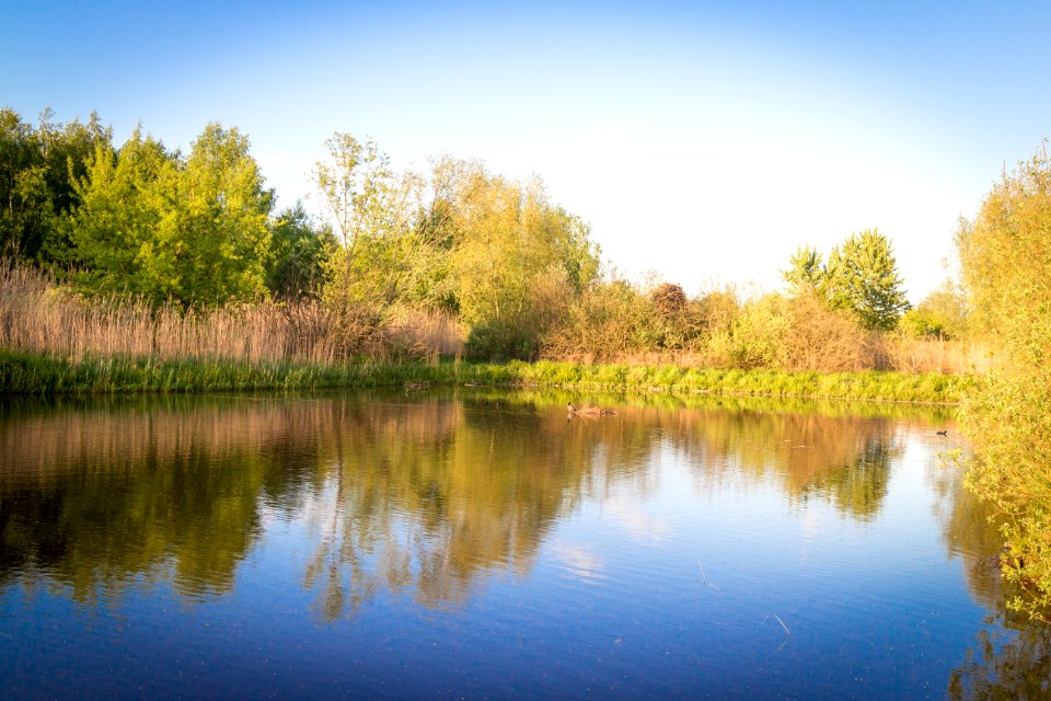 20150510_Hönower_Weiherkette_-_Untersee_by_sebaso_IMG_4066