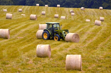 Nature field harvest