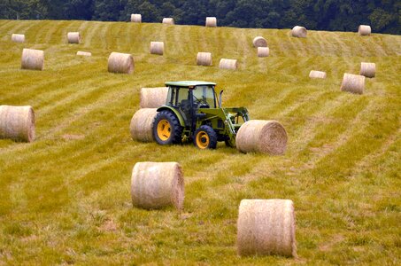 Nature field harvest photo