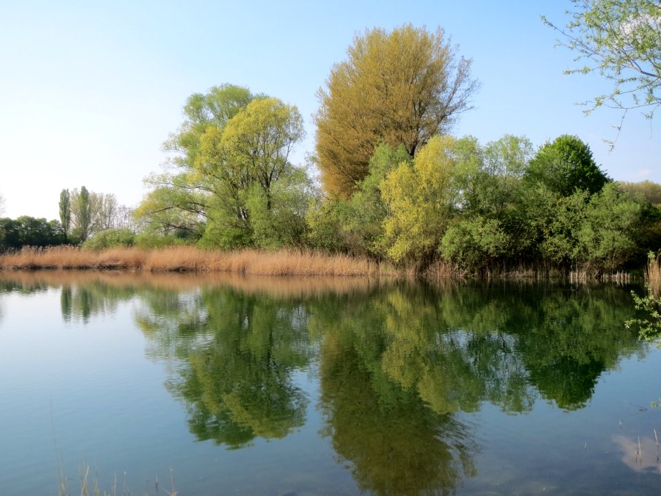20150423Reilinger_See