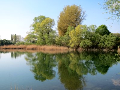 20150423Reilinger_See