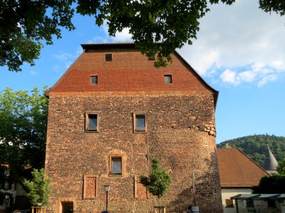 20150729Heuscheuer_Heidelberg1