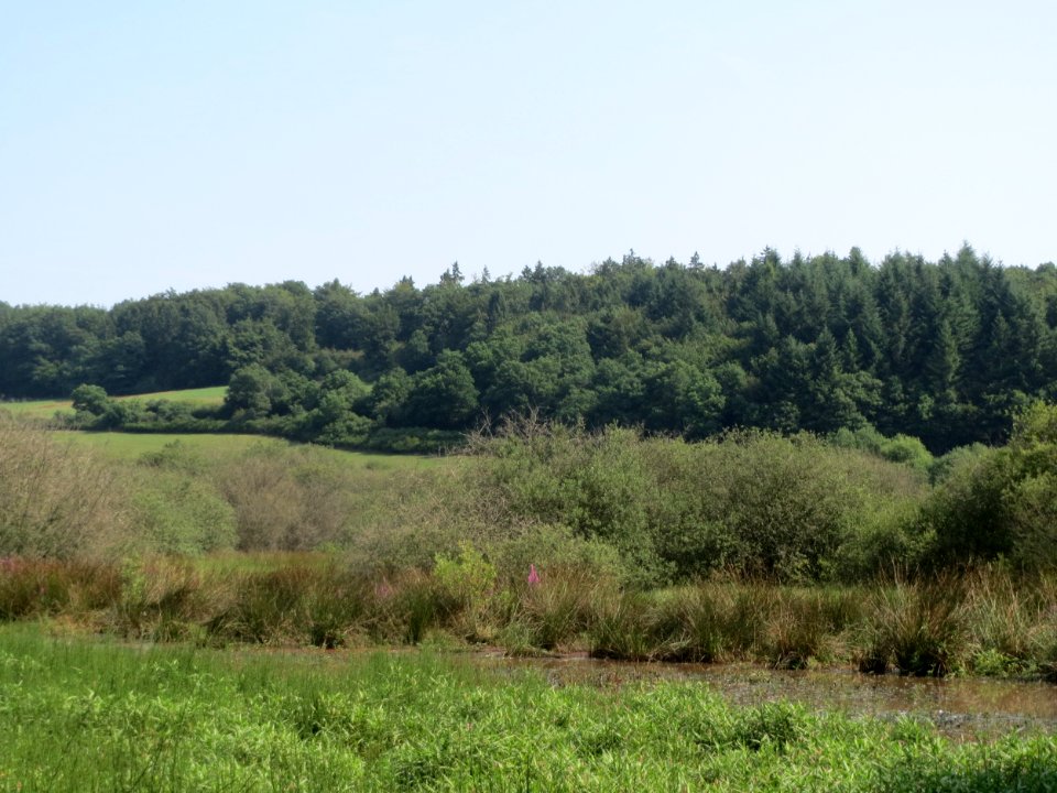 20150813Naturschutzgebiet_Muermes05