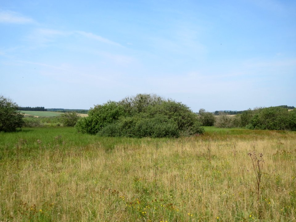 20150813Naturschutzgebiet_Muermes08