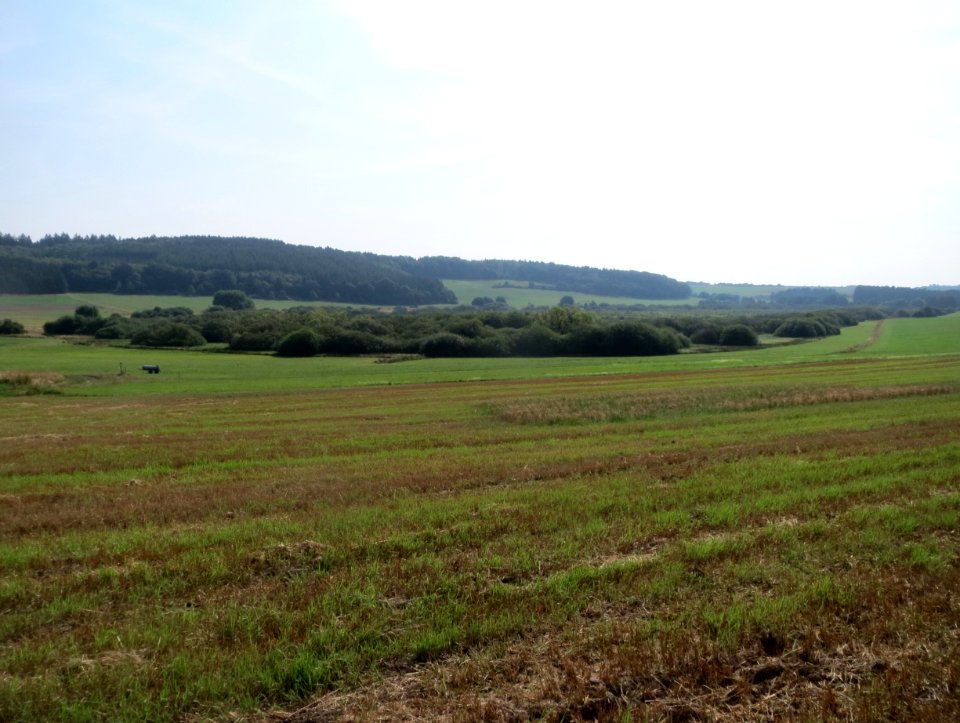 20150813Naturschutzgebiet_Muermes01