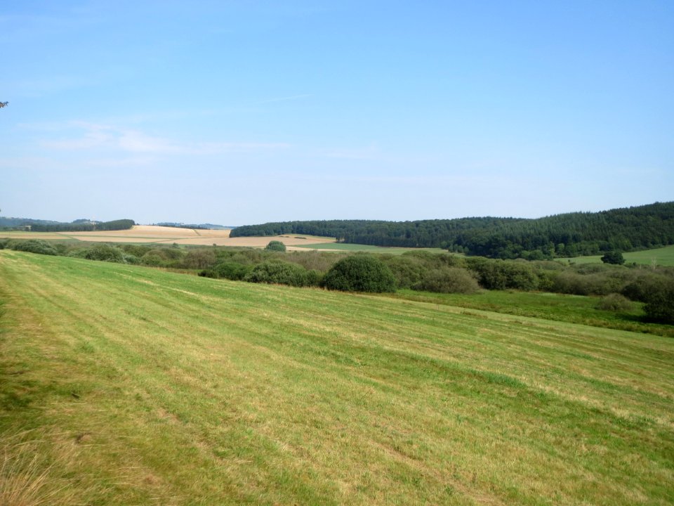 20150813Naturschutzgebiet_Muermes06